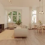 Zion 新维德